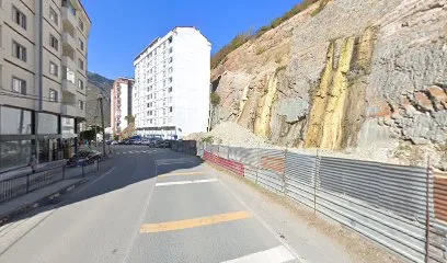 Orman İşleri