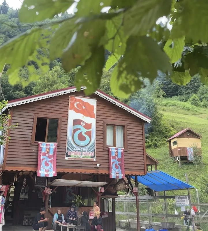 Gökçeköy Alabalık Tesisleri
