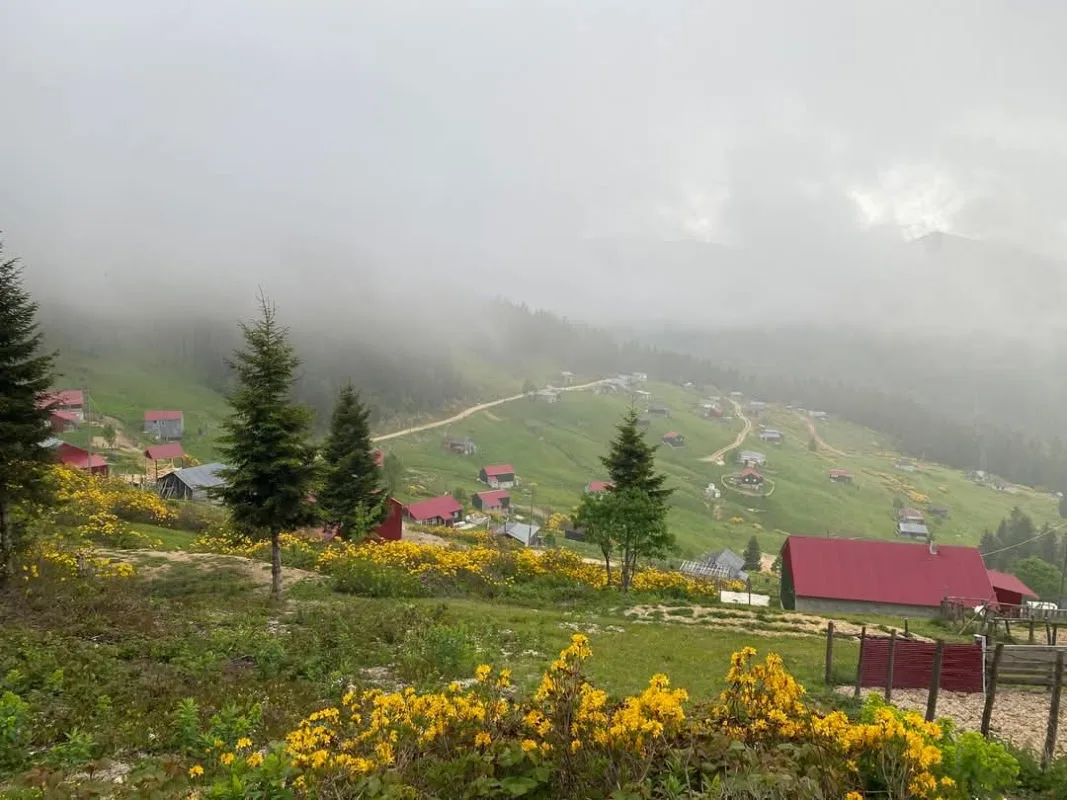 Şıhkıranı