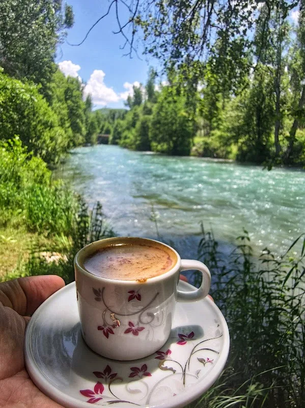 kuşi balık lokantası