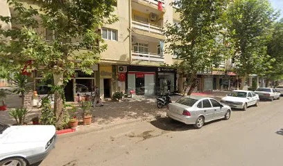 Lavinya