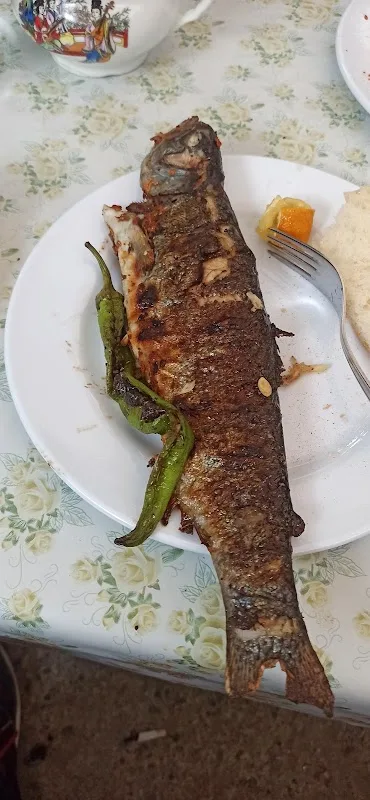 Kanisipi Alabalık Dinlenme Tesisi