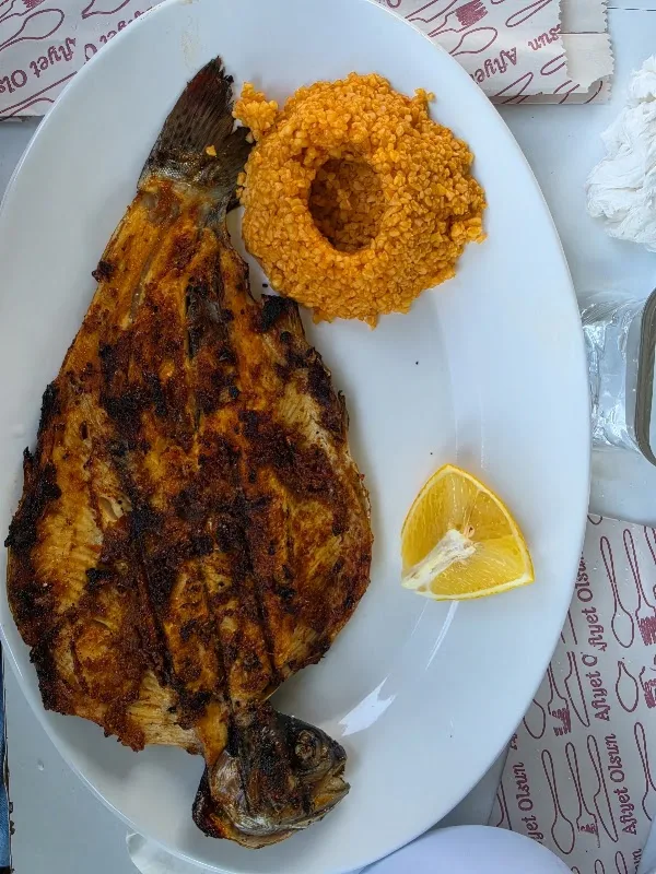 Şifa Alabalık Tesisleri