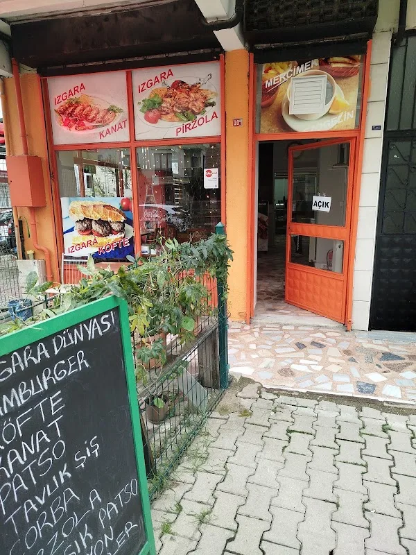 ızgara dünyası