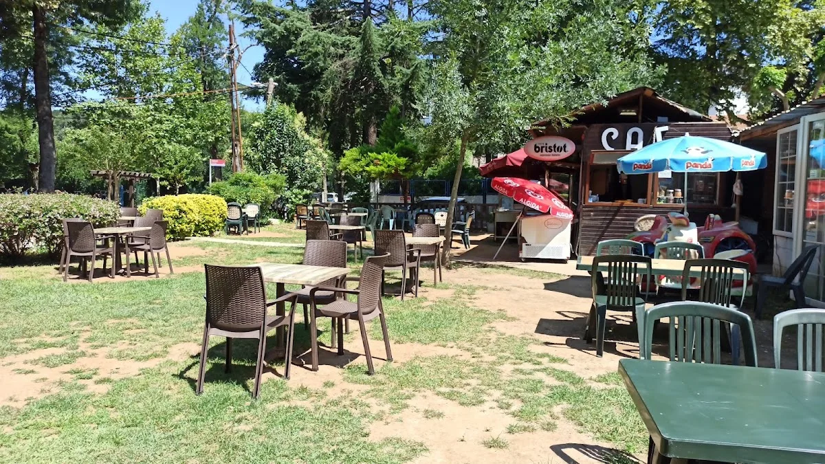 Belgrad Cafe