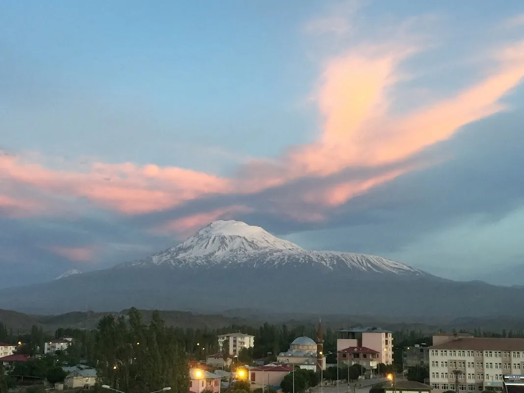 Karakoyunlu