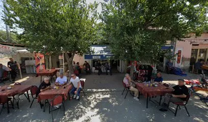 Nescom İnternet