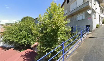 İBB Çayırbaşı Fidanlığı