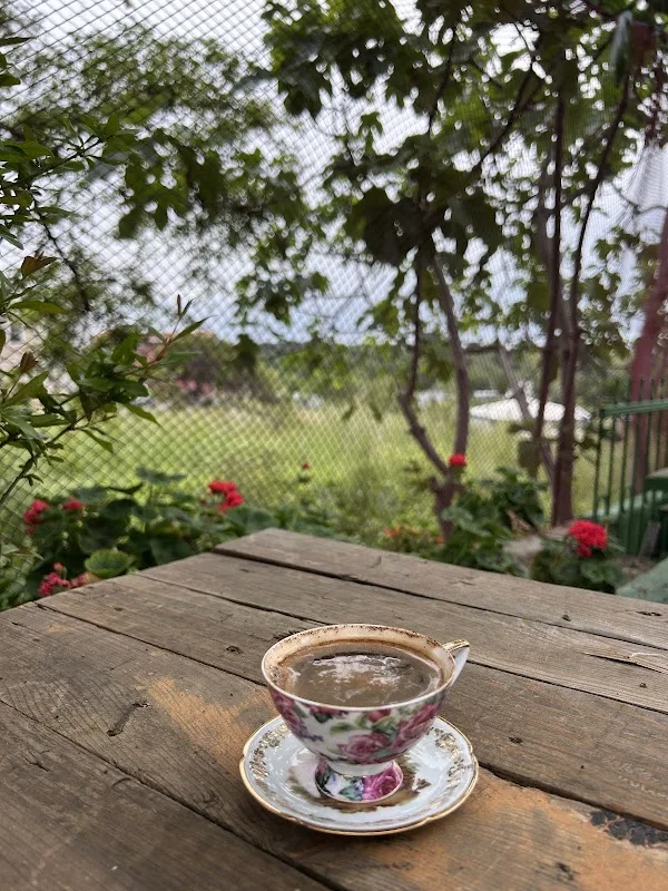 Kaptanın yeri