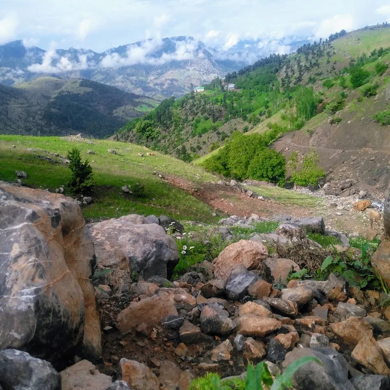 Gökmenler