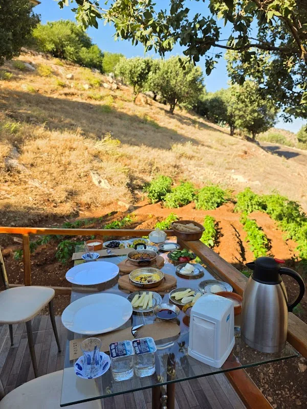 Nemrut Dağı Kayadibi Cafe kahvaltı 🍽️ Hotel🛌