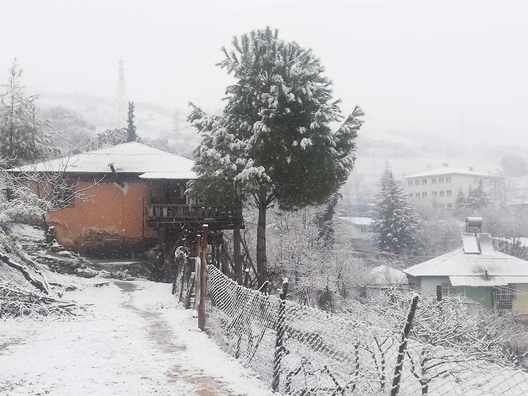 Himmetli
