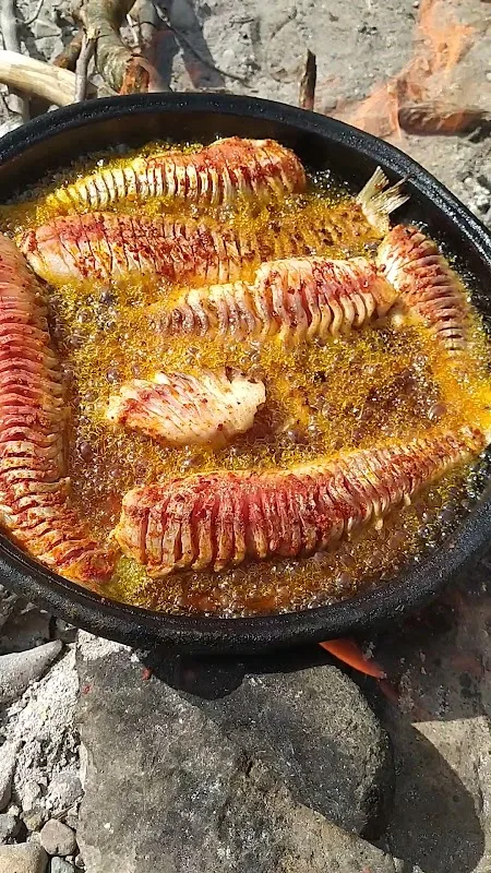 Zazanın Yeri