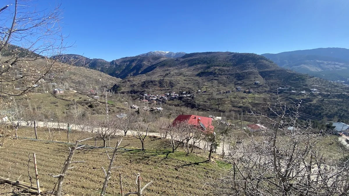 Kızılağaç
