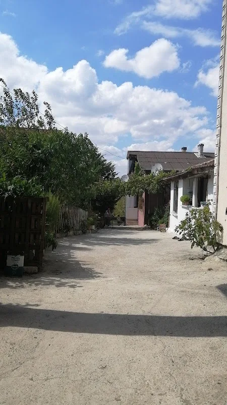 Başkan Kokareç