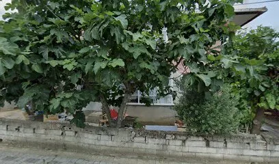 Green Cafe Değirmenköy