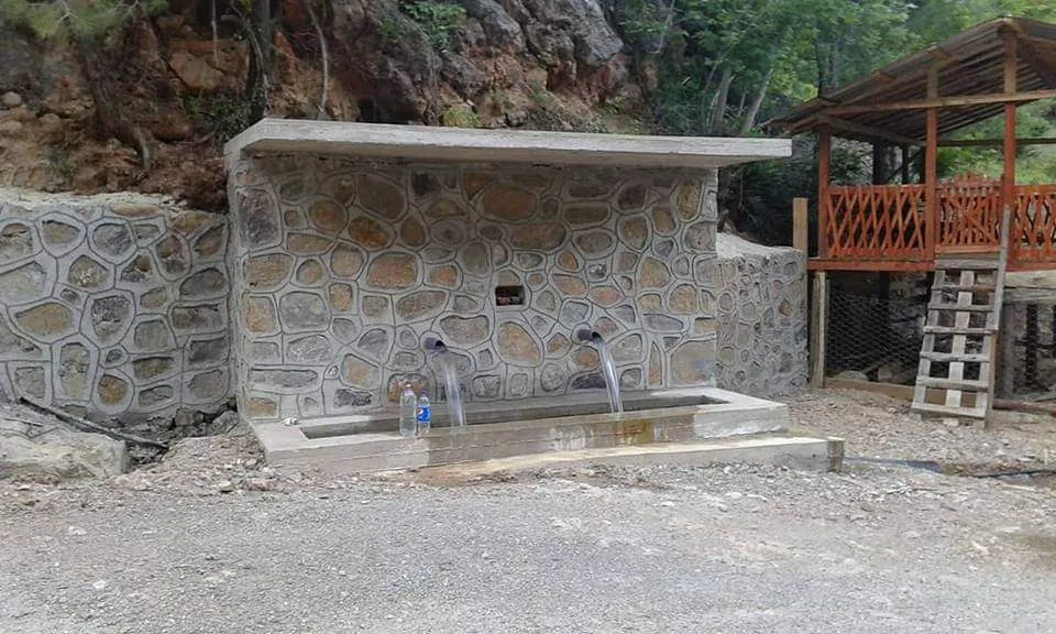 İkizoluk