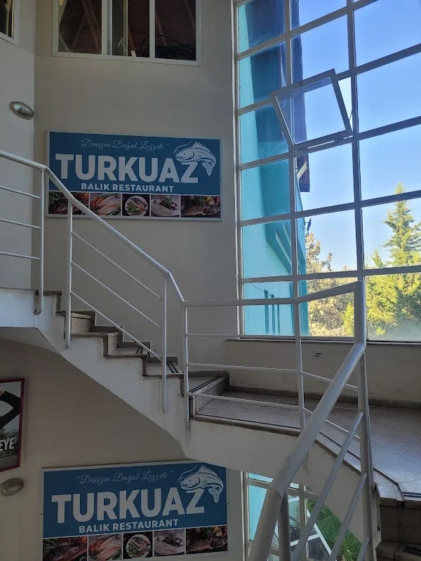 Turkuazcafebalık