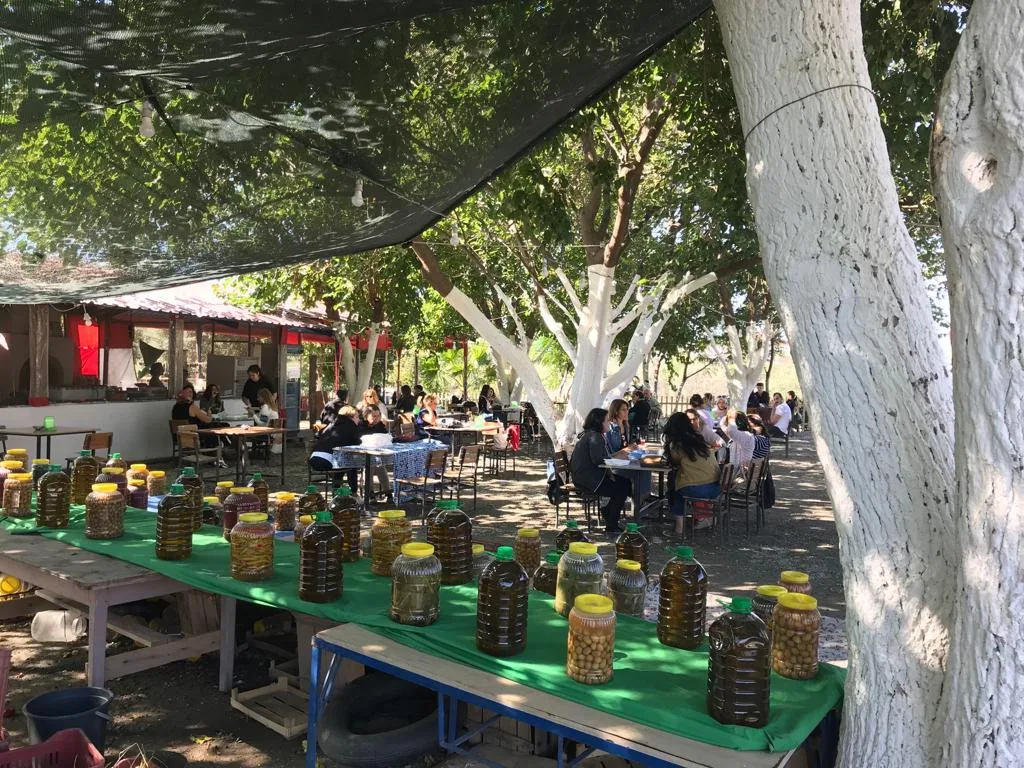 Habeş Aile Çay Bahçesi
