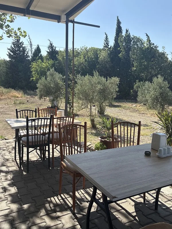 İstasyon Izgara