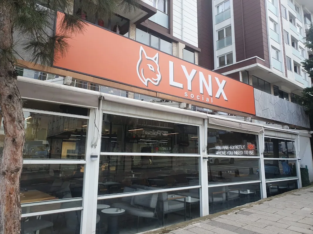 LYNX SOCİAL