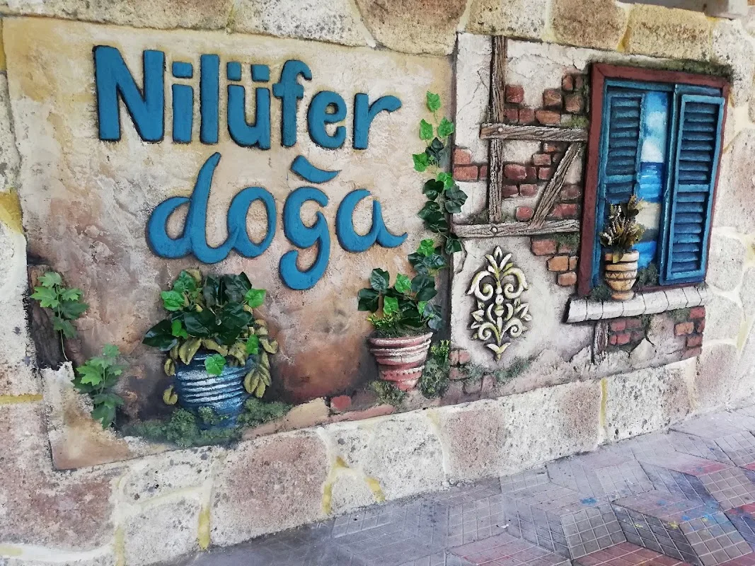 Nilüfer Doğa Restaurant