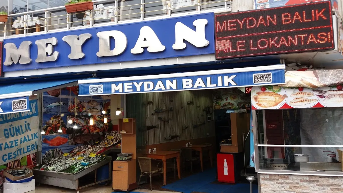Meydan Balıkçısı
