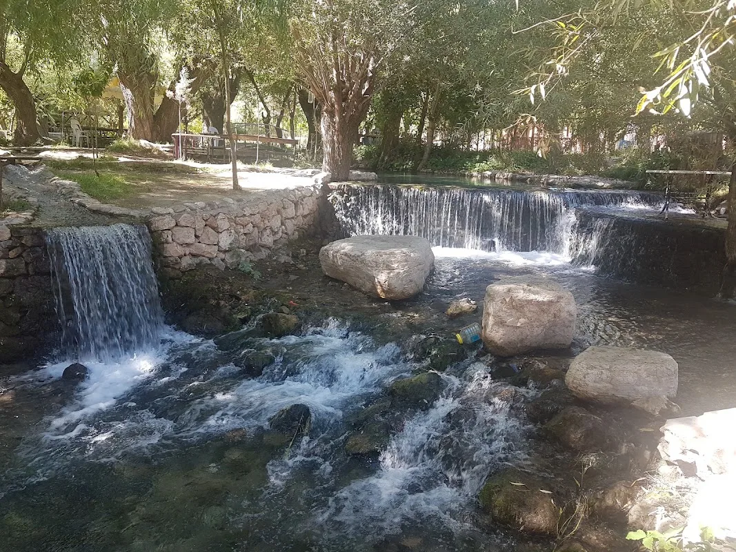 Gizli Bahçe