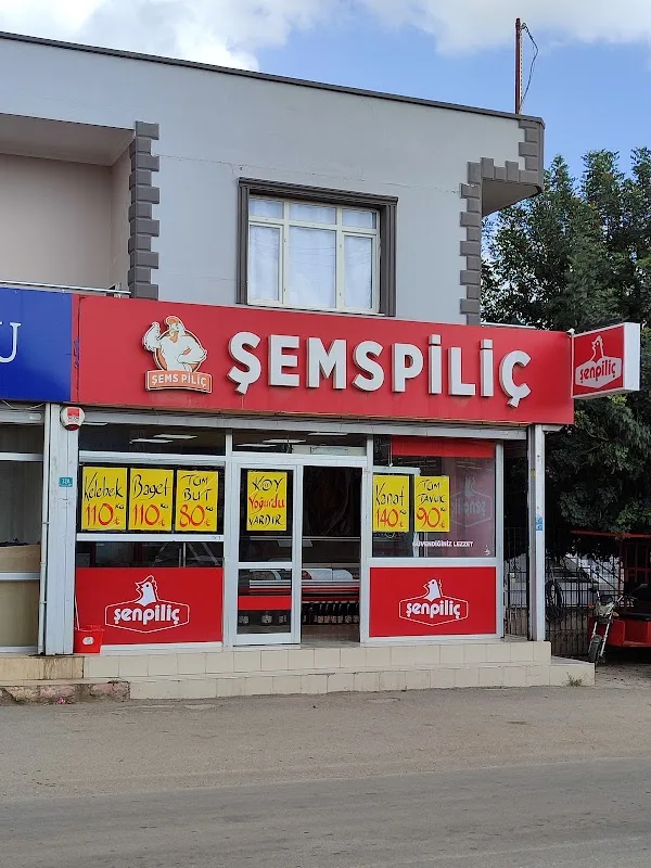 Şems piliç
