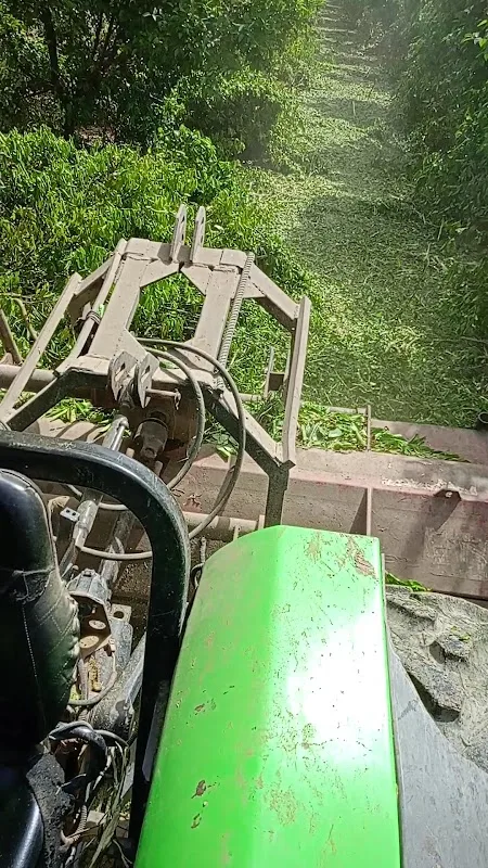 Camuzcu Köyü