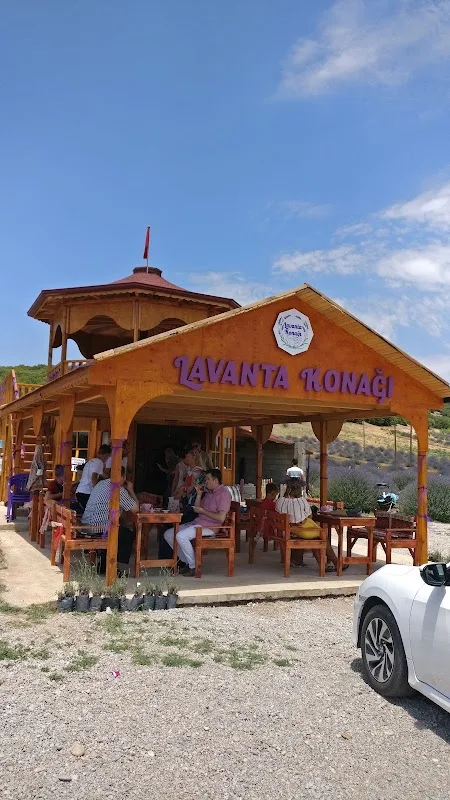 Lavanta Evi