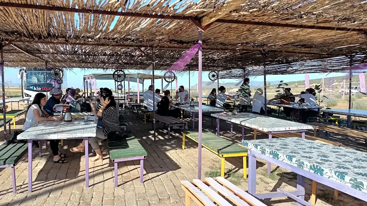 Necati Usta Yöresel Lezzetler