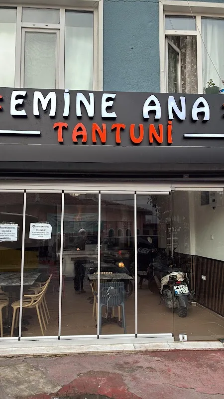 Emine Ana Tantuni Rengarenk