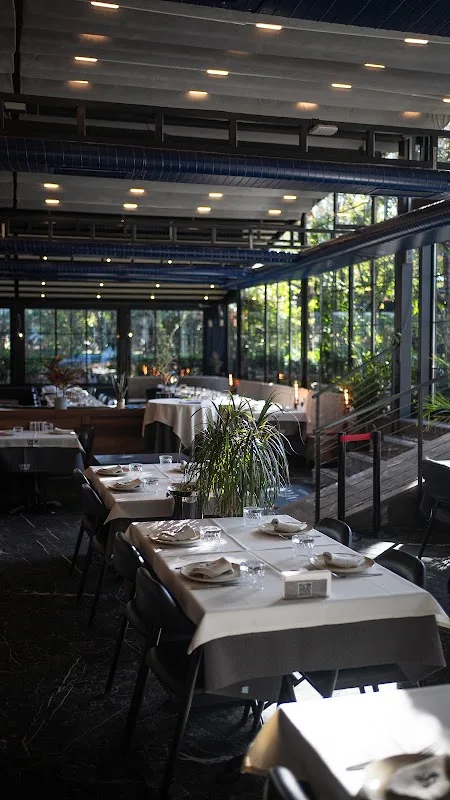 Umus istanbul