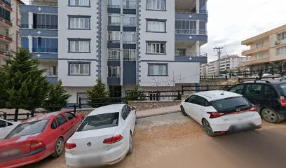 Saloon ali polat
