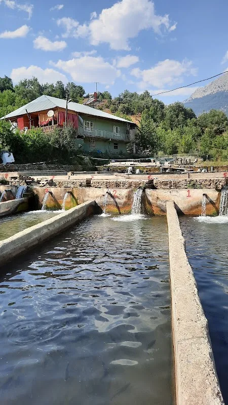 Saripinar Dinçer alabalık tesisleri