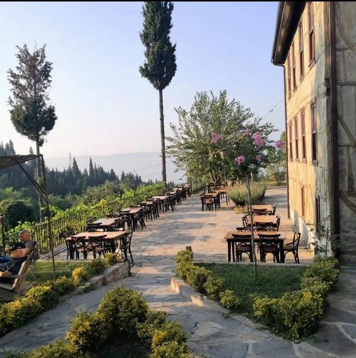 pomidor_karamursel