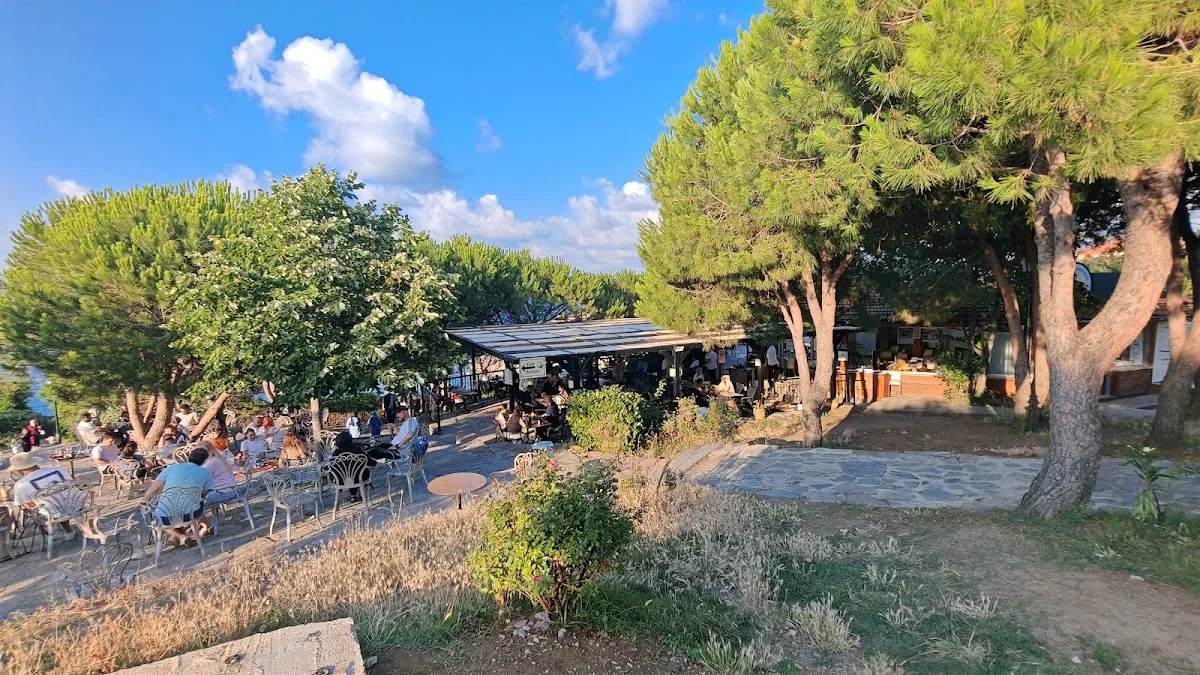 Açilişa Özel