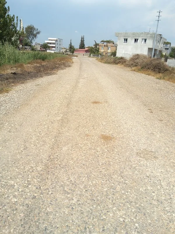 Söğütlü