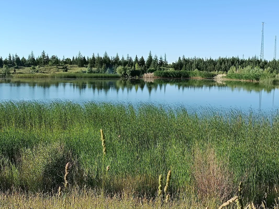 Gölcük Piknik Ve Göl Tesisleri