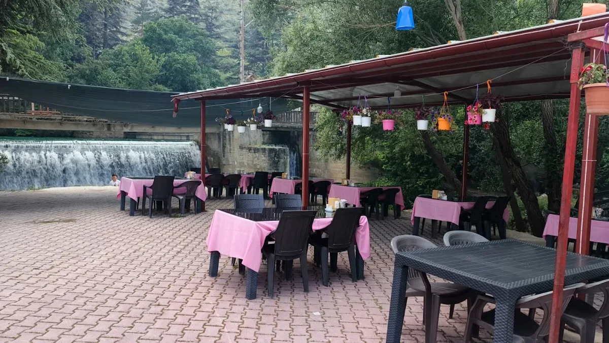 ŞELALE ALABALIK VE IZGARA RESTAURANT