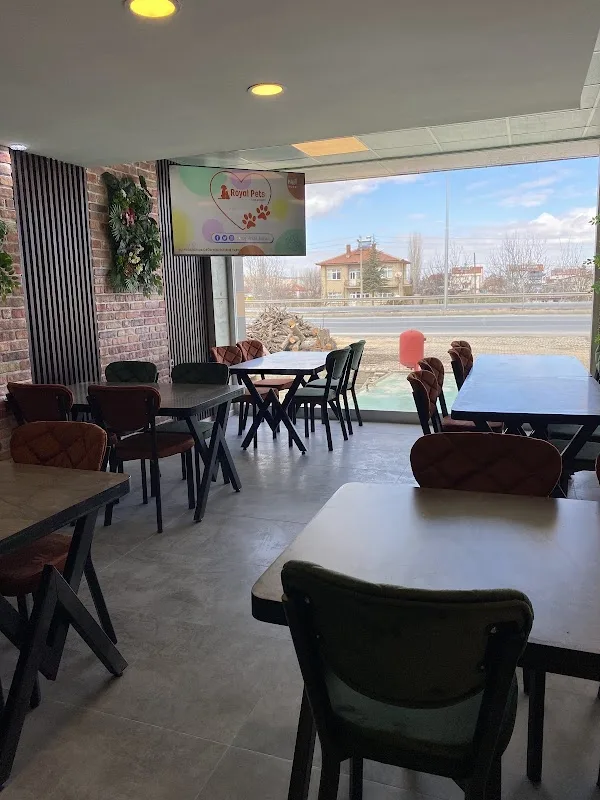 Mola restaurant