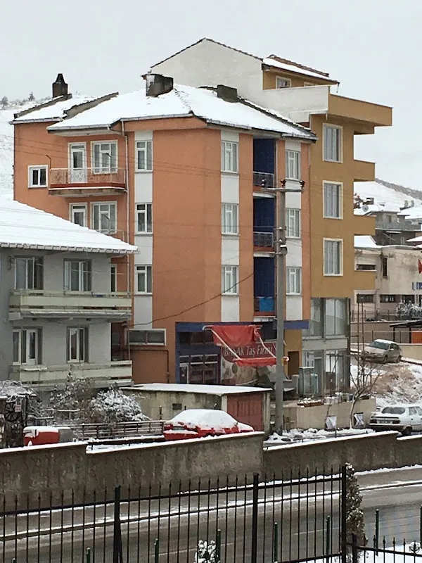 Başak Taşfırın