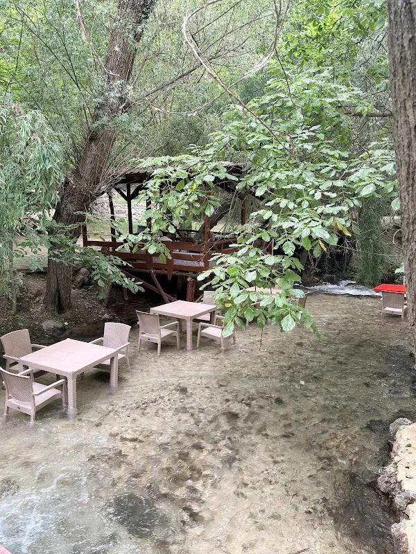 Günpınar Alabalık Restorant