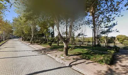 Asya & Uğur Bici