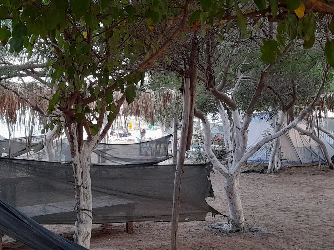 Yeşil Kamping, Kafe Ve Market