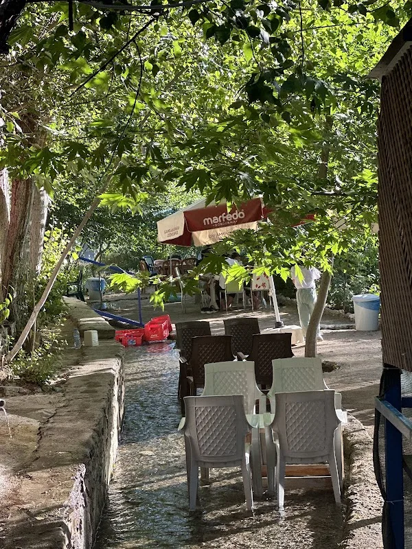 Değirmen Aile Alabalık Dinlenme Tesisi