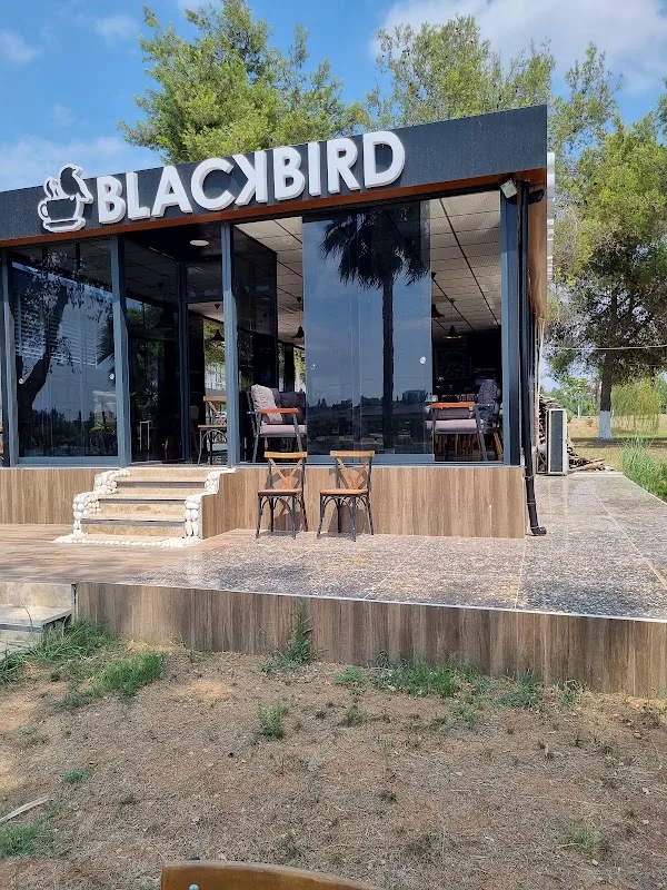 Blackbird Coffee&Kitchen