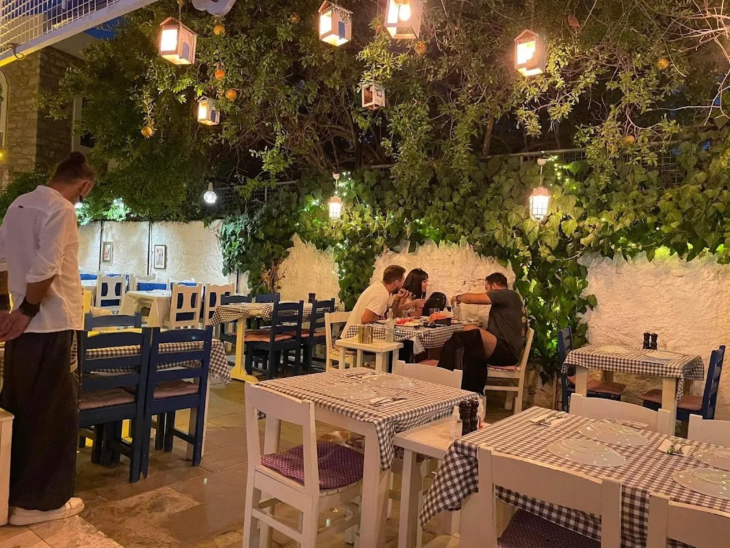Ege'de Maya Bodrum