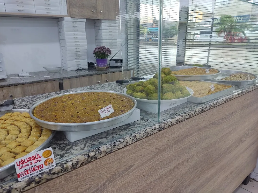 Uğurgül baklava börek